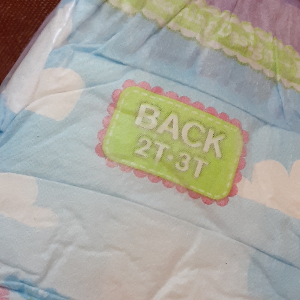 14 Huggies pull-ups 2T/3T - Picture 4 of 4